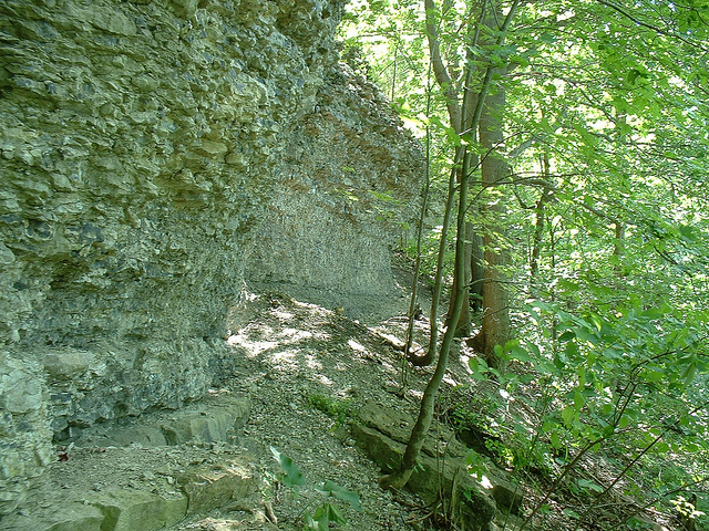 Portion of the Onondaga Escarpment