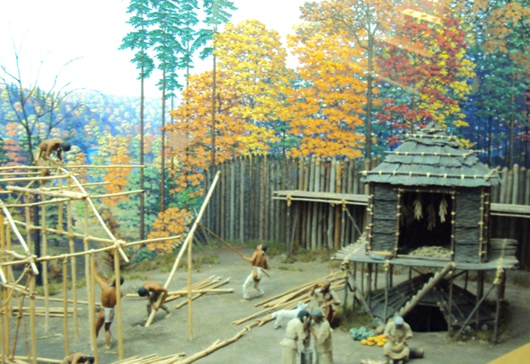 Woodland Rochester Museum of Science Display 